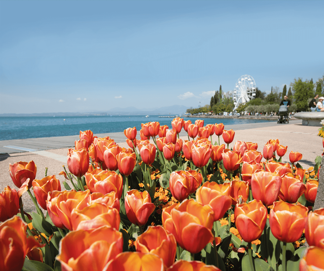 Speciale Pasqua weekend Verona e lago di Garda – break verde – DonneCultura